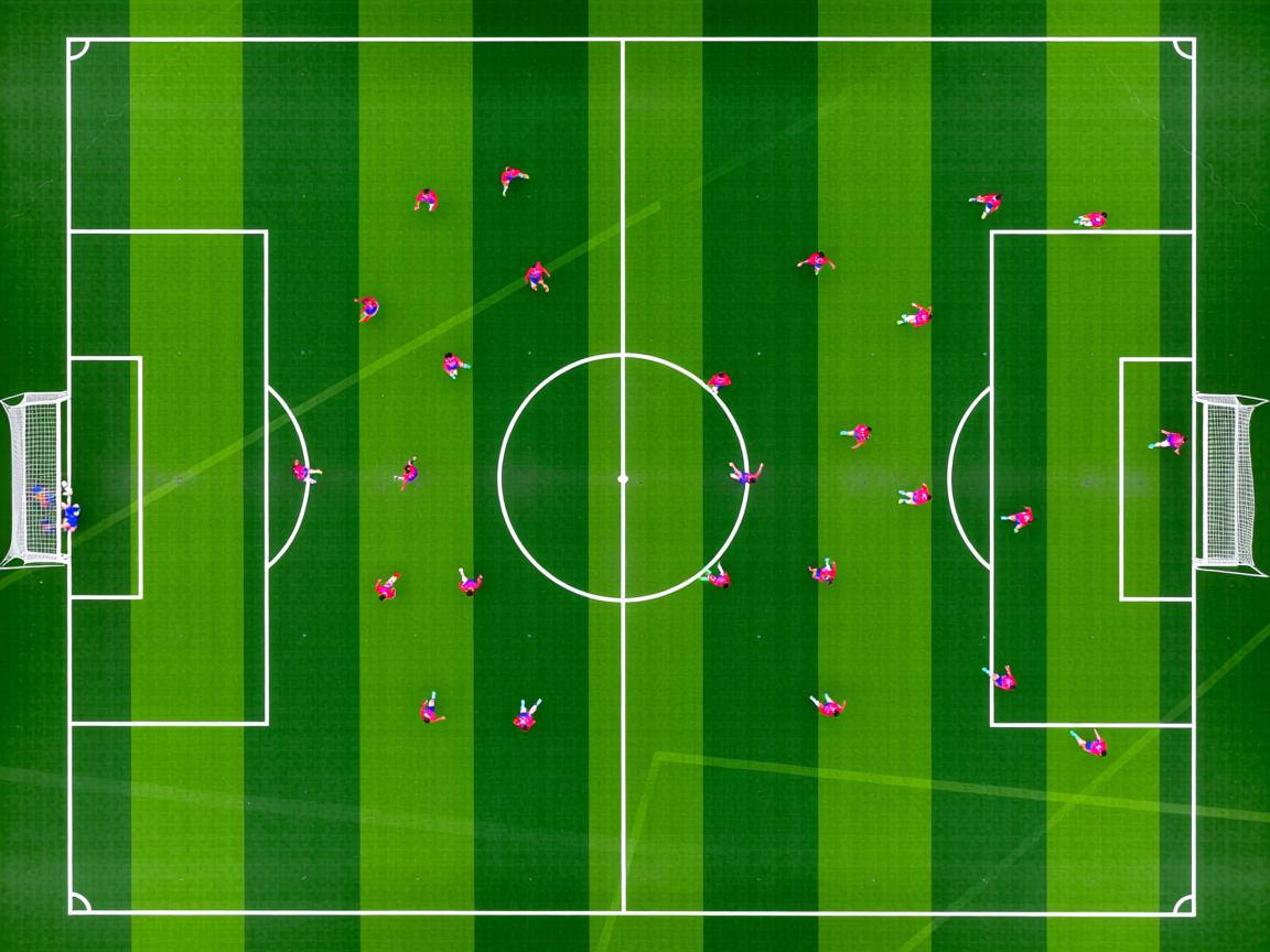 九游官网入口活动-“腰旗式美式橄榄球：东部新区赛场打破传统竞技边界”  第2张