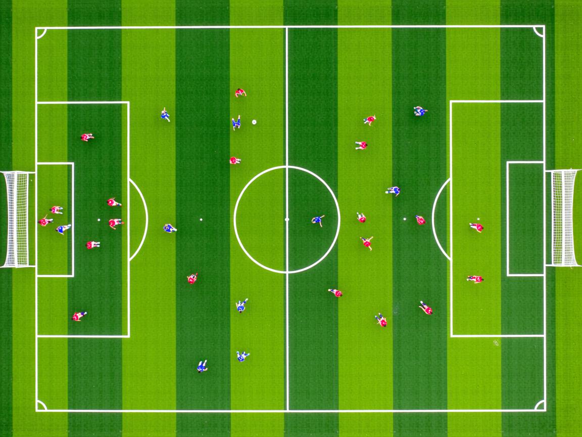 九游官网入口-仰泳接力德队暂列第六名,仰泳 冠军 第2张